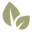 thehealthyfoodie.com icon