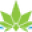 thehemphaus.com icon