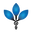 theherbalist.co.za icon