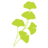 theimpatientgardener.com icon