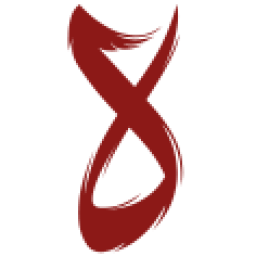 theiranproject.com logo