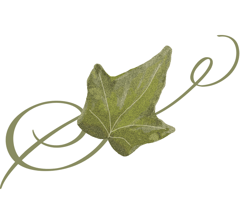 theivybaltimore.com icon