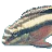 thekrib.com logo