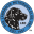 thelabradorclub.com icon