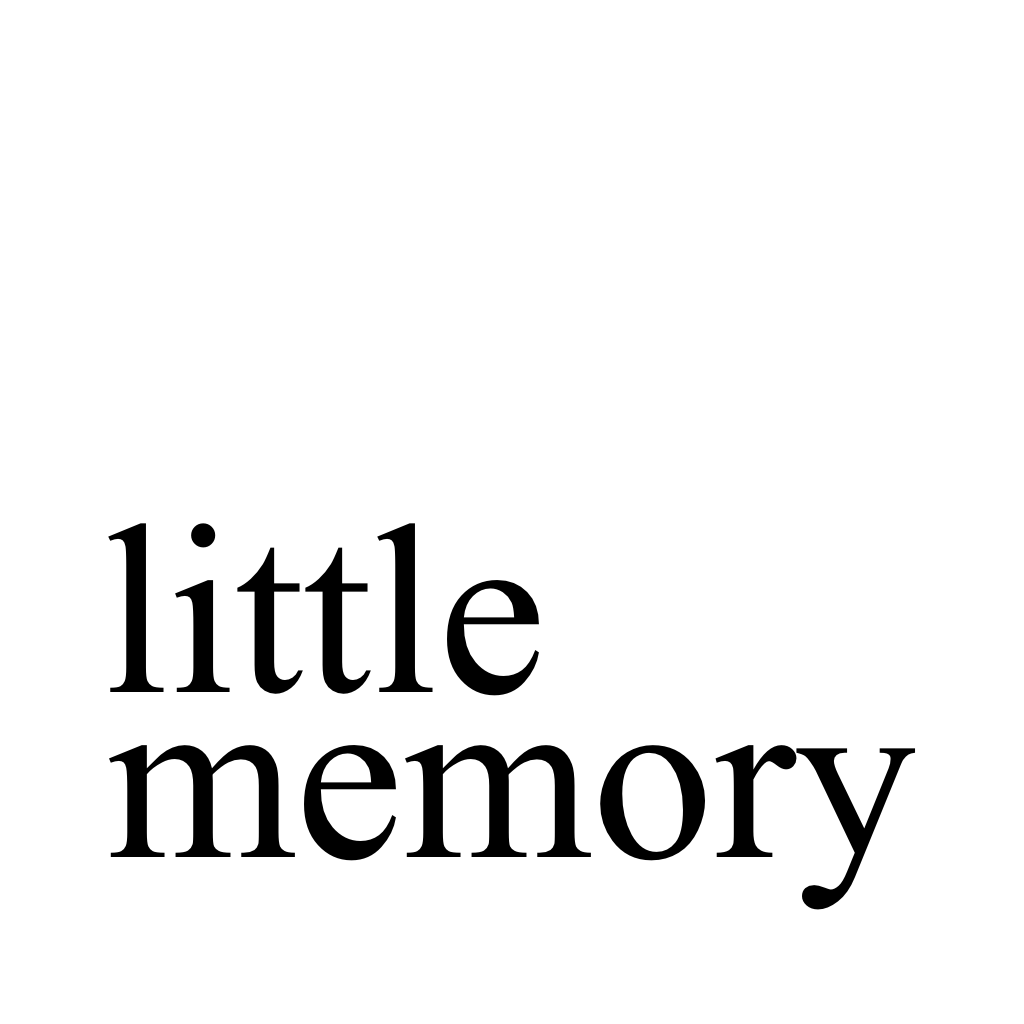 thelittlememory.com icon