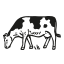 them-andelsmejeri.dk icon