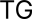 themegrove.com icon