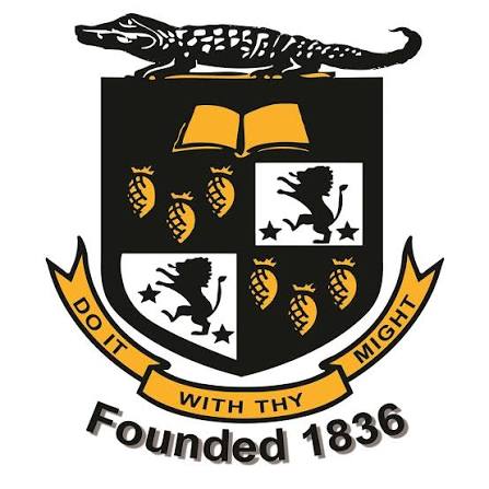 Colegio universitario Mico official logo