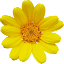 thenerdyfarmwife.com icon