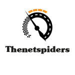 thenetspiders.com icon