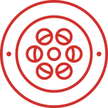 thenewbev.com logo