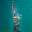 thenewyorklatinoteleton.com icon