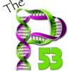 thep53.com icon