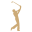theplayers.com logo
