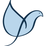 therakeshrajdev.com icon