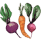 theroastedroot.net icon