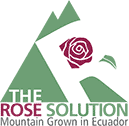 therosesolution.com icon