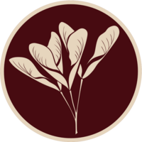 theschoolofmom.com icon
