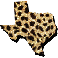 thesistersboutiquetx.com icon