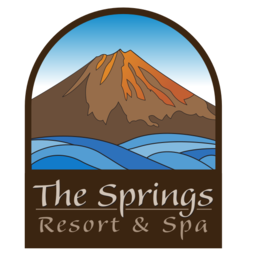 thespringscostarica.com icon