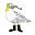 thesquire.com icon
