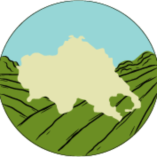 thessalikigi.gr icon