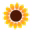 thesunflowerlab.com icon