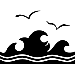 thesurfclub.com icon