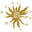 thetemples.org icon