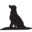 thetucsondog.com icon