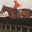 theukbettingforum.co.uk icon