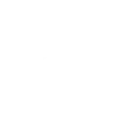 thevehiclegroup.com icon