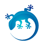thewebgecko.com icon