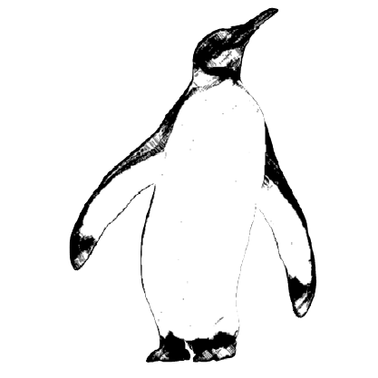 thewebpenguin.com icon