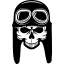 thewicketpost.com icon