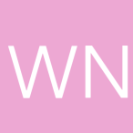 theworldsnews.online icon