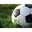 thhdkj.com icon