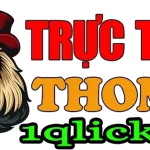 thichdaga.net icon