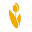 thinkingdutch.com icon