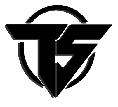thinksonic.de icon