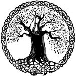 thinplacestour.com icon