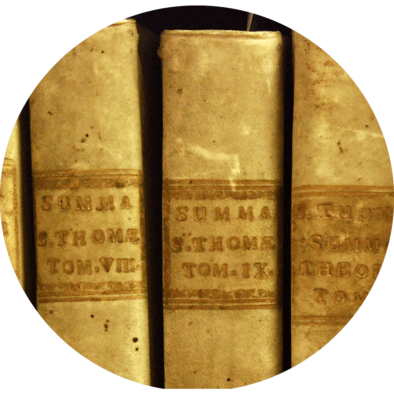 thomist.org logo