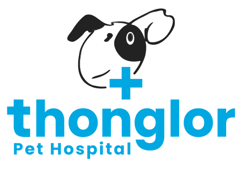 thonglorpet.com icon