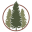 threepineswood.com icon