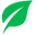 thrivemetrics.com icon
