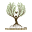 thundergodroot.com icon