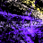 thundersync.com icon