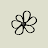 tianaberrie.com icon