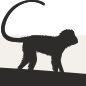 ticketbase.eu icon