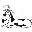 tierhilfe-sara-lanzarote.com icon
